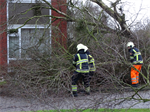 Prio 2 Stormschade Hanegraafweg Noardburgum